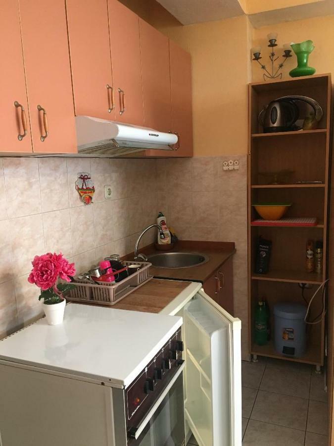אוהריד Ani Apartment מראה חיצוני תמונה